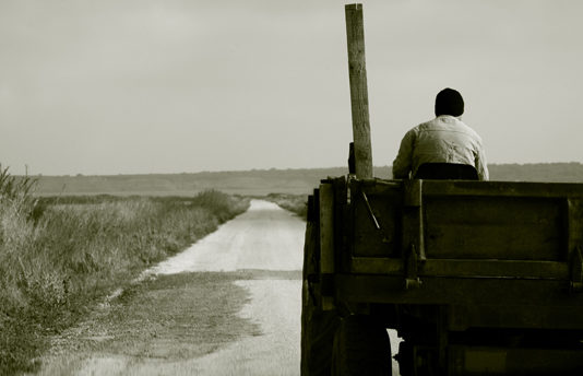 Festa del contadino Acireale 1335 0 Festa del contadino Acireale